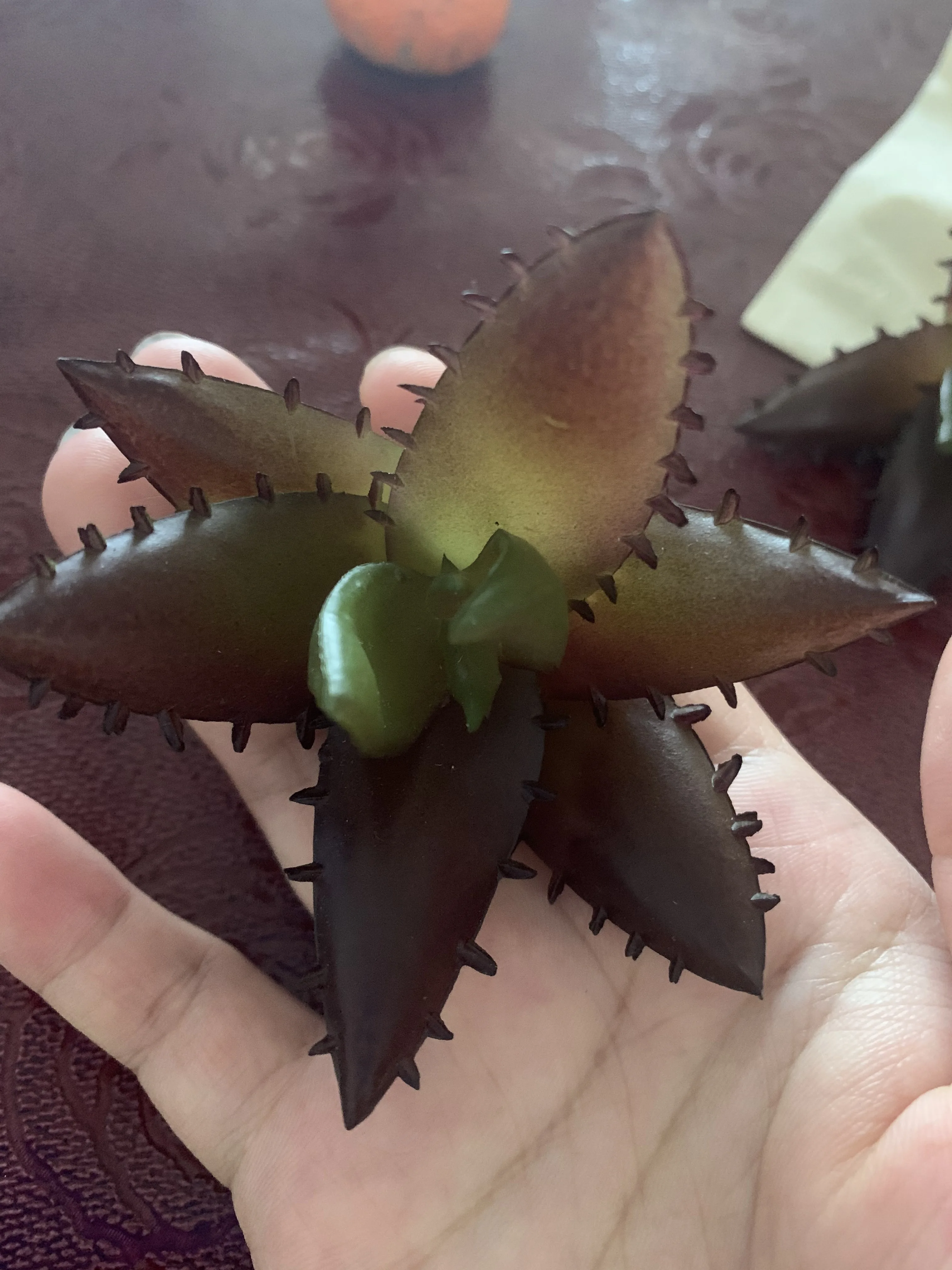 Алоэ мясистое растение имитация Цветочная головка маленькая композиция