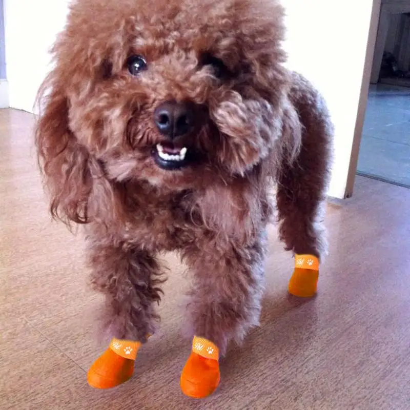 Новинка резиновые силиконовые сапоги ярких цветов для домашних животных