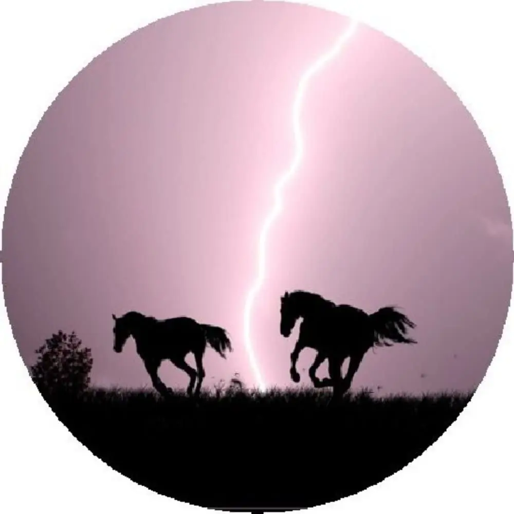 

Horses in Storm Tire Cover26-37"