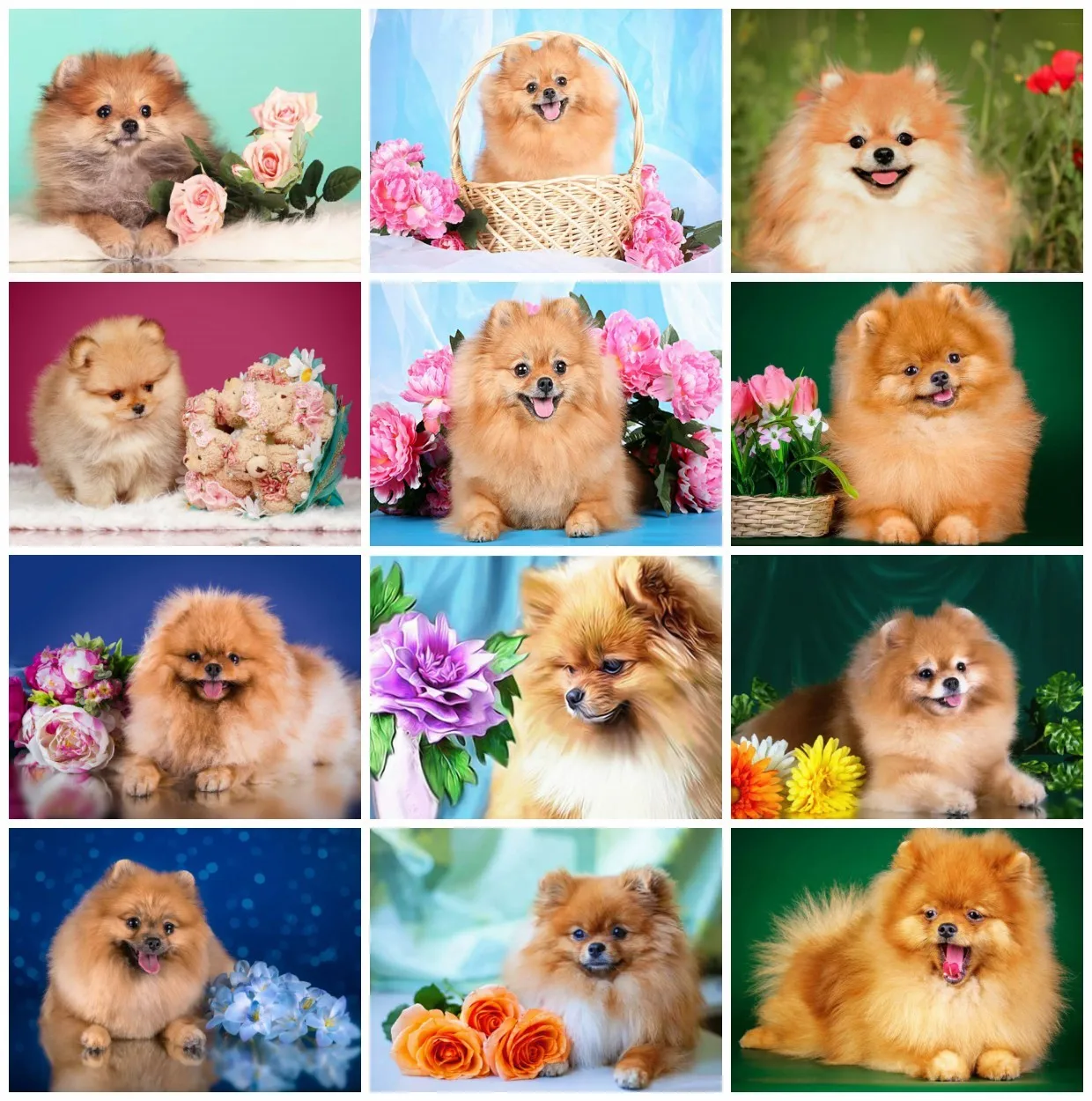 

EverShine Алмазная мозаика собаки Алмазная вышивка животные вышивка крестом страз искусство живопись хобби подарок декор для дома