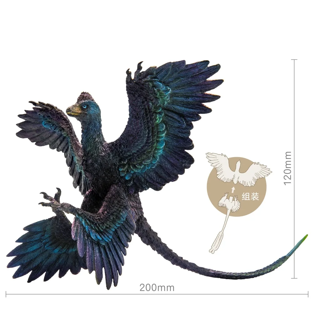 PNSO-dinosaurio prehistorico, modelos: 29 Gaoyuan, El Microraptor-2