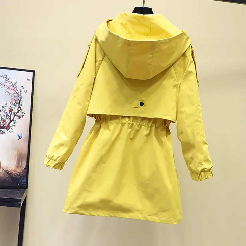 

2020 New Autumn Women Jacket Coat Hooded Long Sleeve Causal Windbreaker Famale Basic Jackets With Zipper Outerwear Top 6 colors