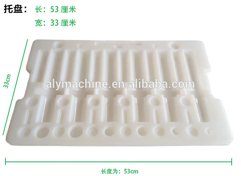 

Common Rail Injector And Parts Placing Tray, Common Rail Injector Plate, Common Rail Injector Repair Tools
