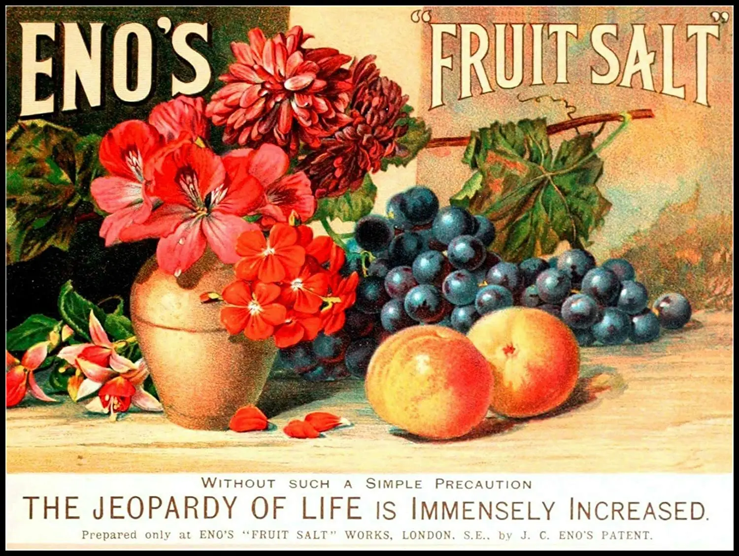 

Fruit Vintage Retro Metal Tin Sign Poster Plaque Garage Wall Decor 20x30cm