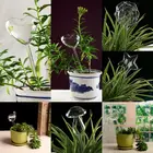 6 видов декоративных банок для воды, самополивающиеся банки для растений, ручная выдувка, прозрачное стекло, водяные лампы для растений для улицы и помещений