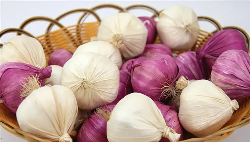 6 шт. Реалистичный искусственный чеснок Реалистичная имитация овощей