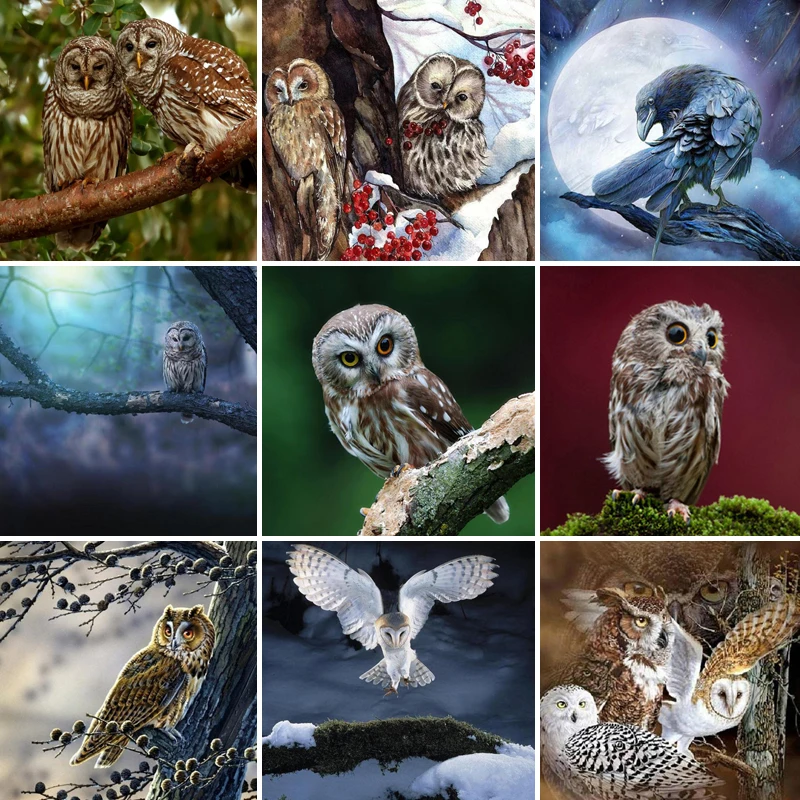 

40/50/60diamond painting 5D Full Square embroidery mosaic Cross Stitch animal owl DIY Wall Sticker home Decoration festival Gift