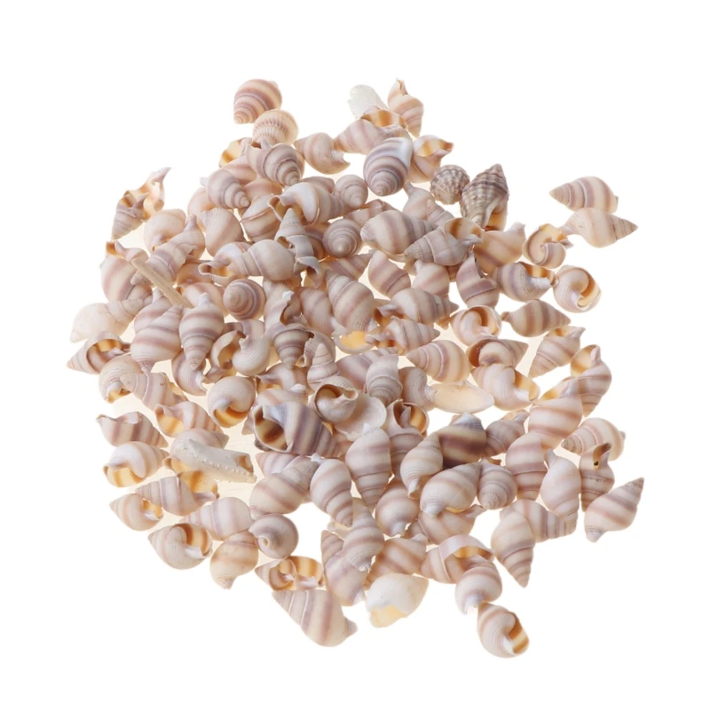 

Natural Conch Shell Mini Conch Corn Screw Wall Decor Aquarium Landscape Seashell 85LB