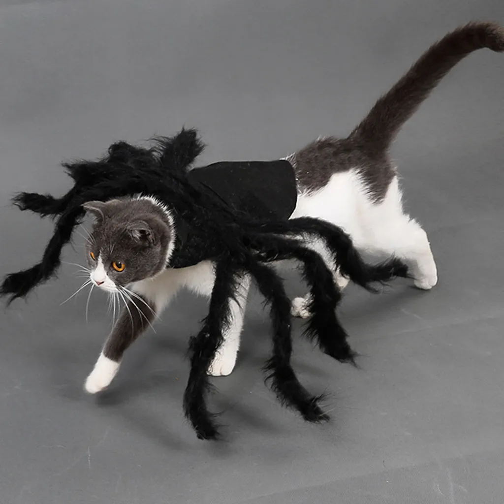 Милая кошка собака Хэллоуин домашнее животное платье Паук Одежда с принтом