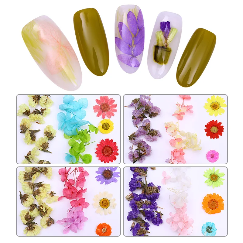 1 коробка сушеные цветы Красочные смешанные консервированные с коробкой в форме