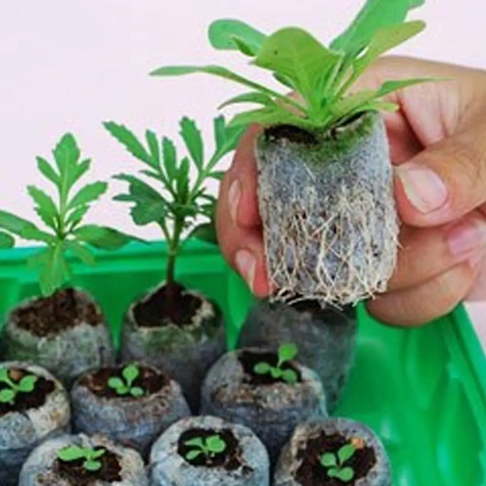 100 шт. торфяные гранулы для выращивания растений | Дом и сад