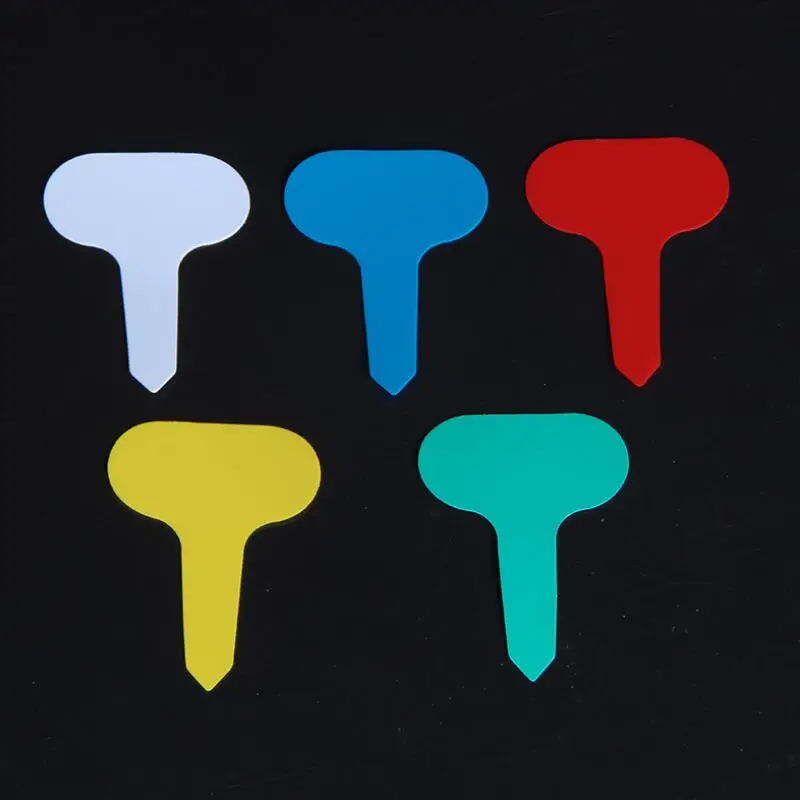 Домашний сад садоводство растение цветок детская Т-образная - Цена: 23 143,30 руб.