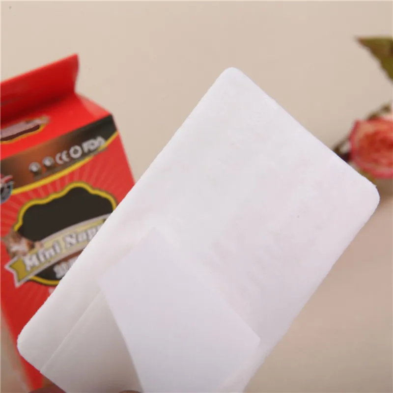 

10 Pcs/lot Super-Absorbent Female Dogs Disposable Detachable Diaper Pads Preventing Leaks Pet Cleaning Supplies