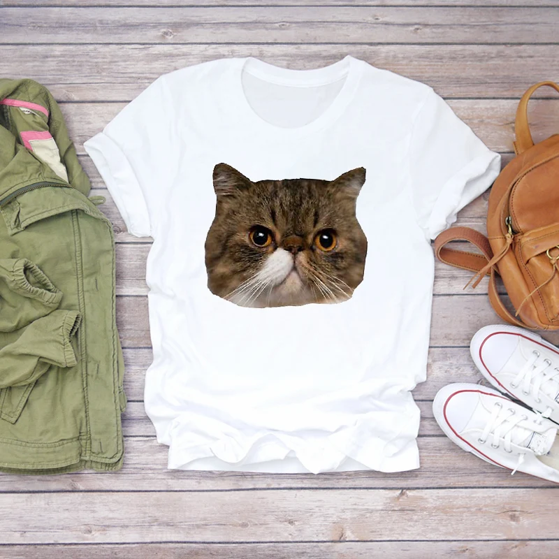 Женская футболка с коротким рукавом и принтом кота|Футболки| |