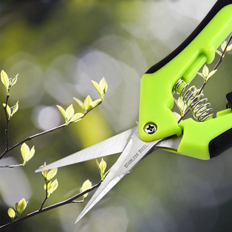 Garden Scissors Stainless Steel Pruning Shears Fruit Picking Household Potted Trim Branches Small | Инструменты