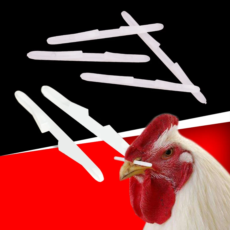 

1000 Pcs 6.9 cm Cock Nose Stick Obstruction Rod Easy Install To Prevent Roosters Snatch Food Nose Sign Poultry Supplies Health