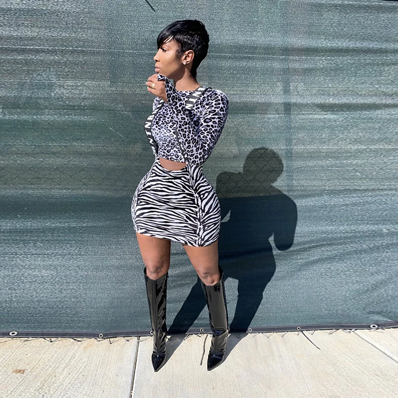 Женский комплект из двух предметов с леопардовым принтом зебры |