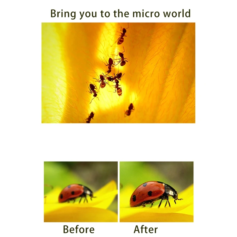 

Phone Camera Lens 3 in 1 Phone Lens, Fisheye Lens + Wide-Angle Lens + Macro Lens for iPhone Samsung Android Smartphone