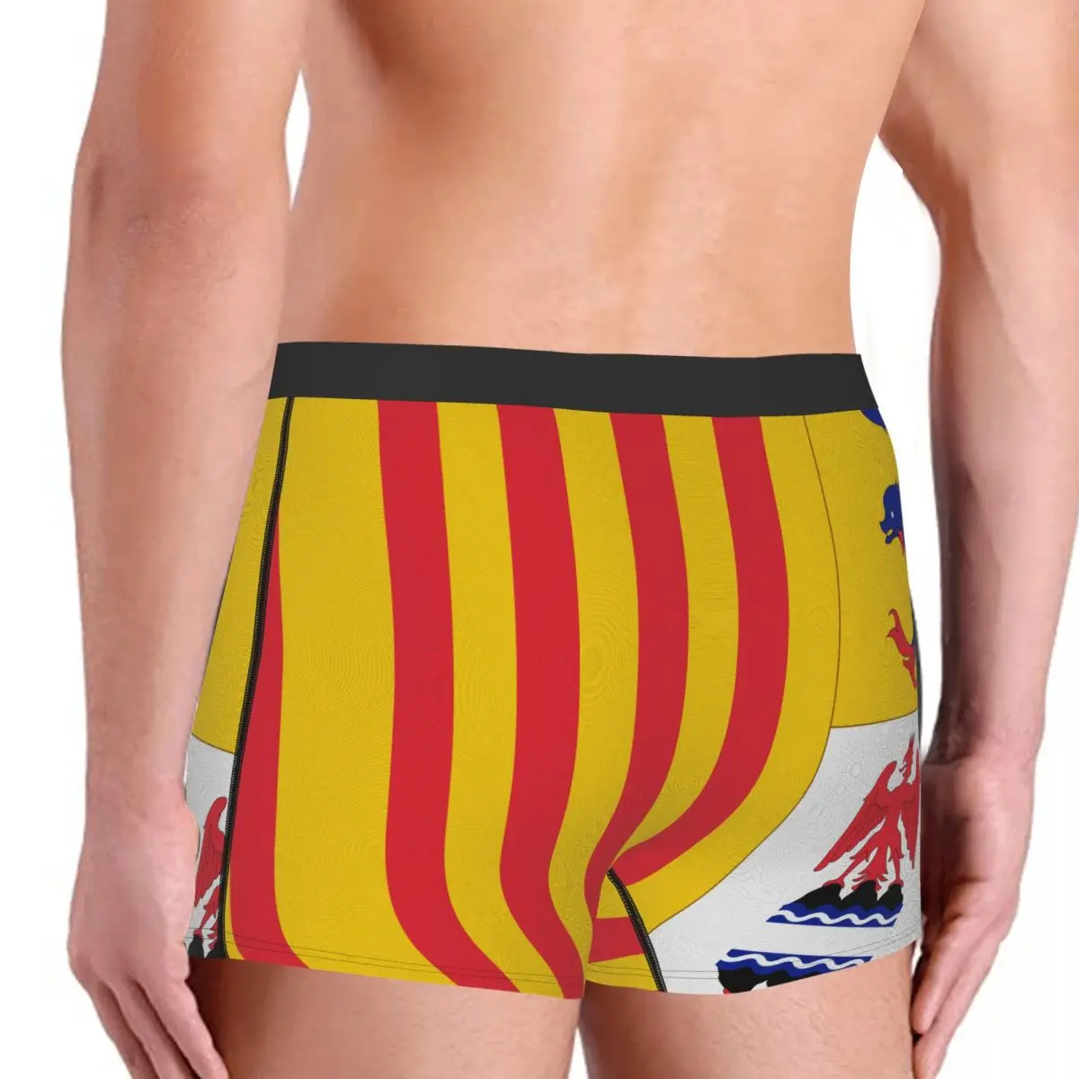 Flag Of Provence-Alpes-Côte D'Azur Men's Boxer Briefs Flags of the regions of France Geek Men's boxer leggings