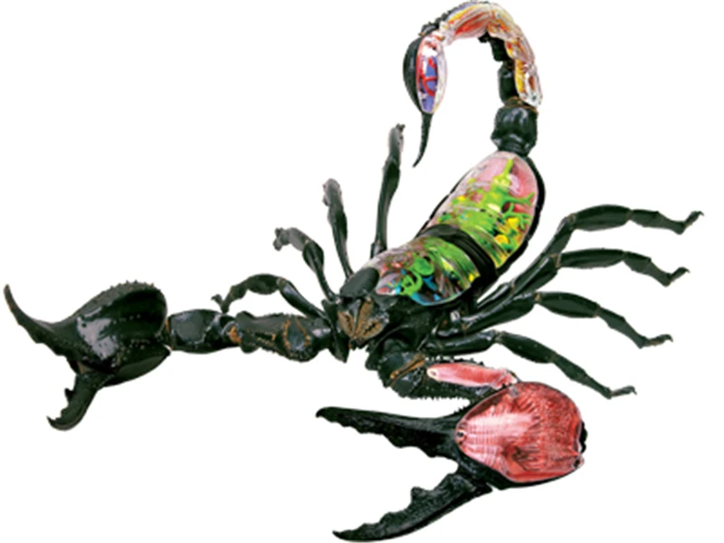 4D scorpion мастер головоломка сборка игрушек животных биологических органов