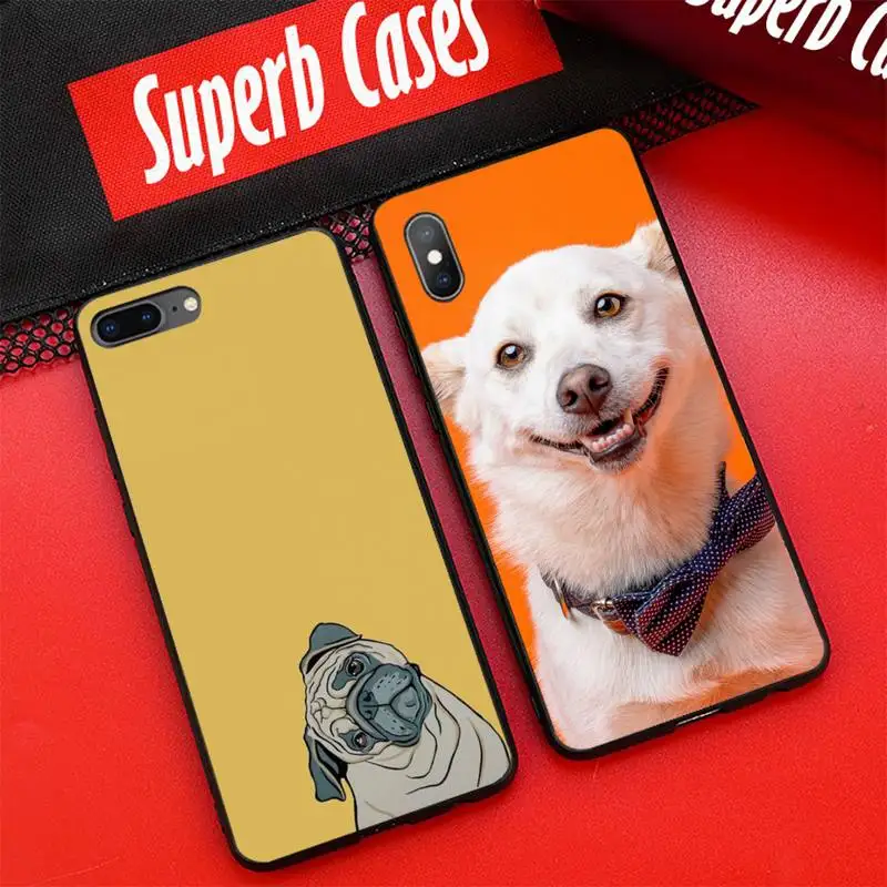 

Dog Fashion Clear Soft Phone Case for redmi note10 9 8 pro 6A 4X 7 7A 8A smart 5Plus 4 5 7 8T cover coque