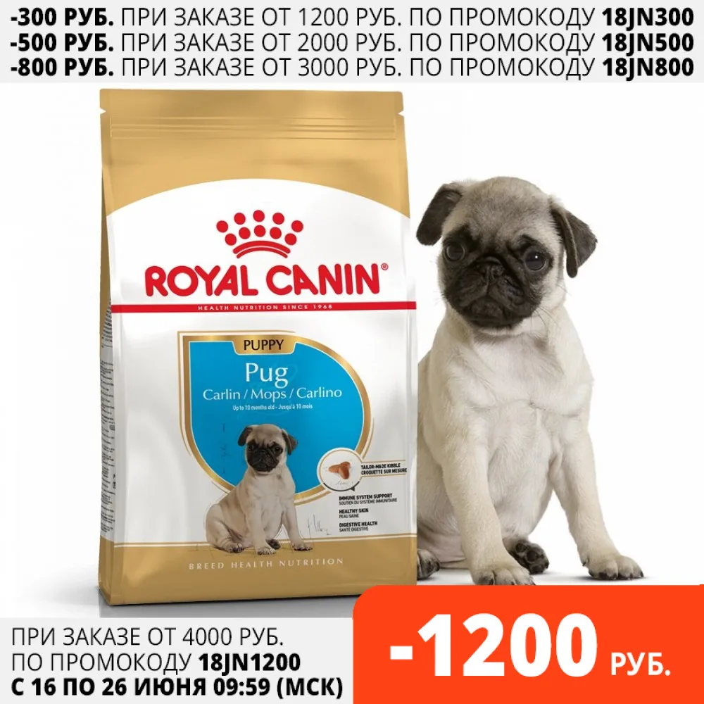 Royal Canin Pug Junior для щенков породы мопс 1 5 кг|Сухой корм собак| |