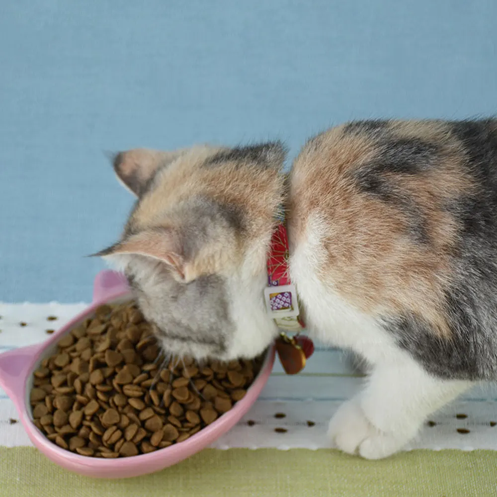 1 Pcs Cat Food Bowl Oblique Mouth Single Drinking Ceramic Pet Dog Cute Ears Supplies Small Dogs | Дом и сад