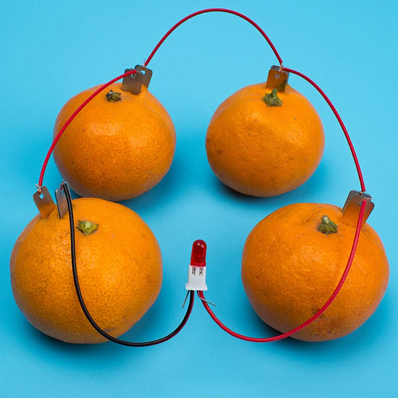 

Potato Fruit Supply Electricity Experiments Kids Children Student Learining ChemistryTeaching Tool Bio Energy Science Kit