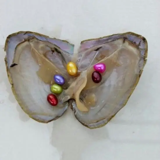 Индивидуально обернутые 1 30 шт/устрицы большие с жемчугом подарки на день