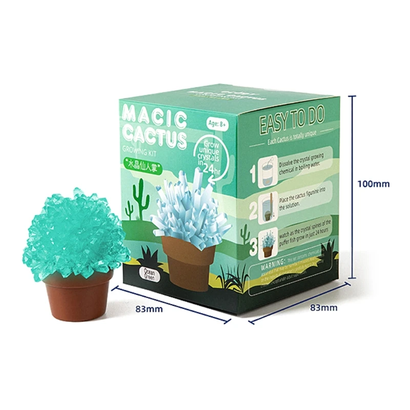 

C5AA Children Lifelike Crystal Cactus Educational Toys for 6-8 Year Old Kids Brain Training Improve Intelligence Toys