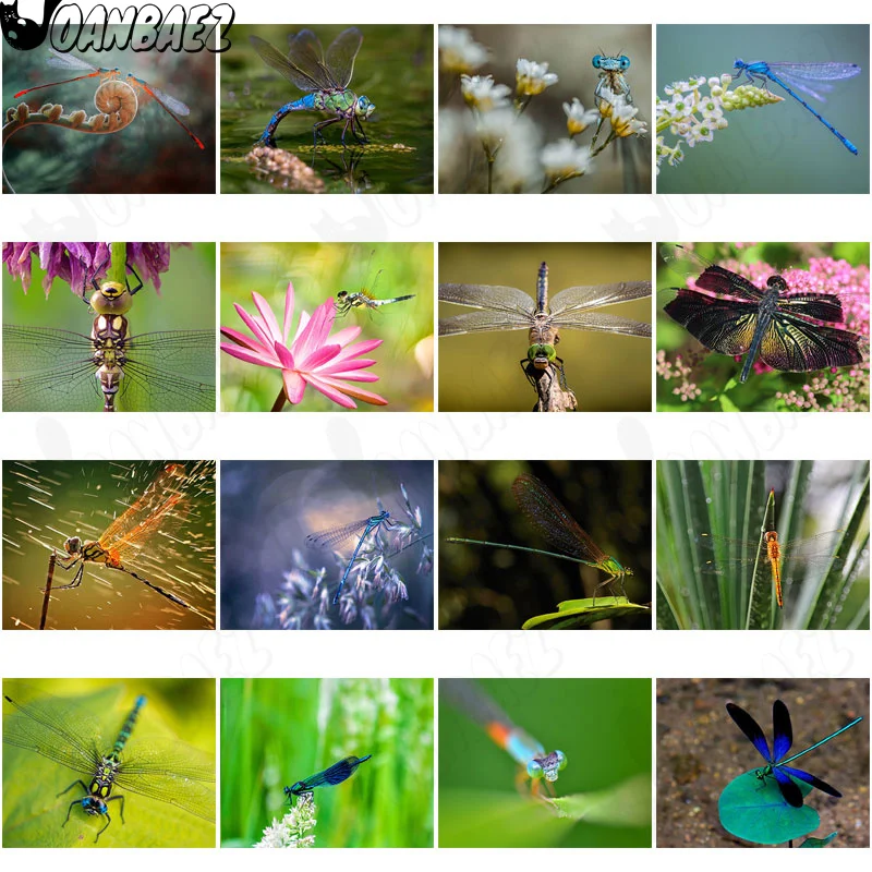 

Beautiful Animal Dragonfly Diamond Painting 5D Diy Blue Wing Mosaic Diamond Inlaid Cross Stitch Home Decoration Accessories