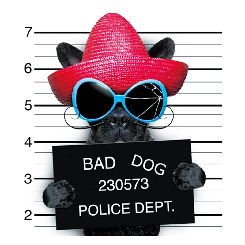 

Patches Bad Dog Apparel Accessories Diy Women's Clothing T-shirt Thermal Transfer Paper Iron Ons Sticker for Clothes Patch