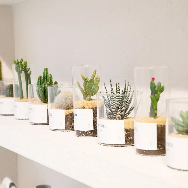 Стеклянная Маленькая ваза Скандинавская банка современный дизайн настольный