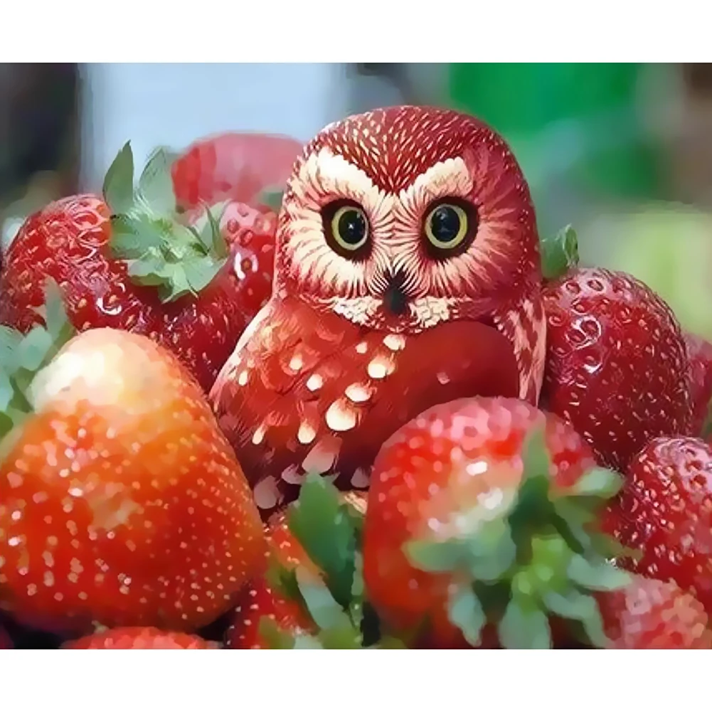 

DIY digital oil painting cute bird hand-painted oil painting unique gift mural canvas home decoration digital