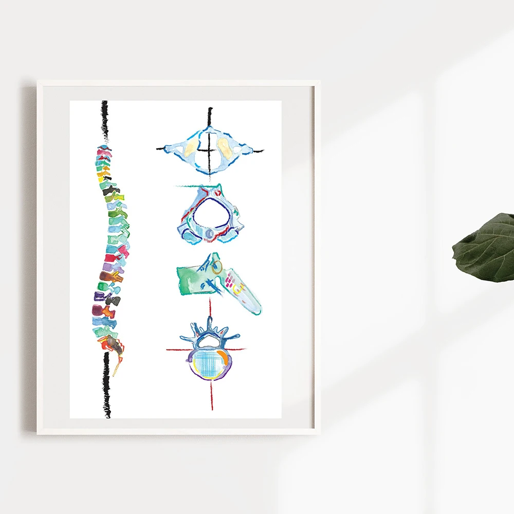Human Spine Anatomy Wall Art Canvas Print Watercolor Spinal Cord Biology Painting Vertebral Column Poster Medical Art Gift Decor 4