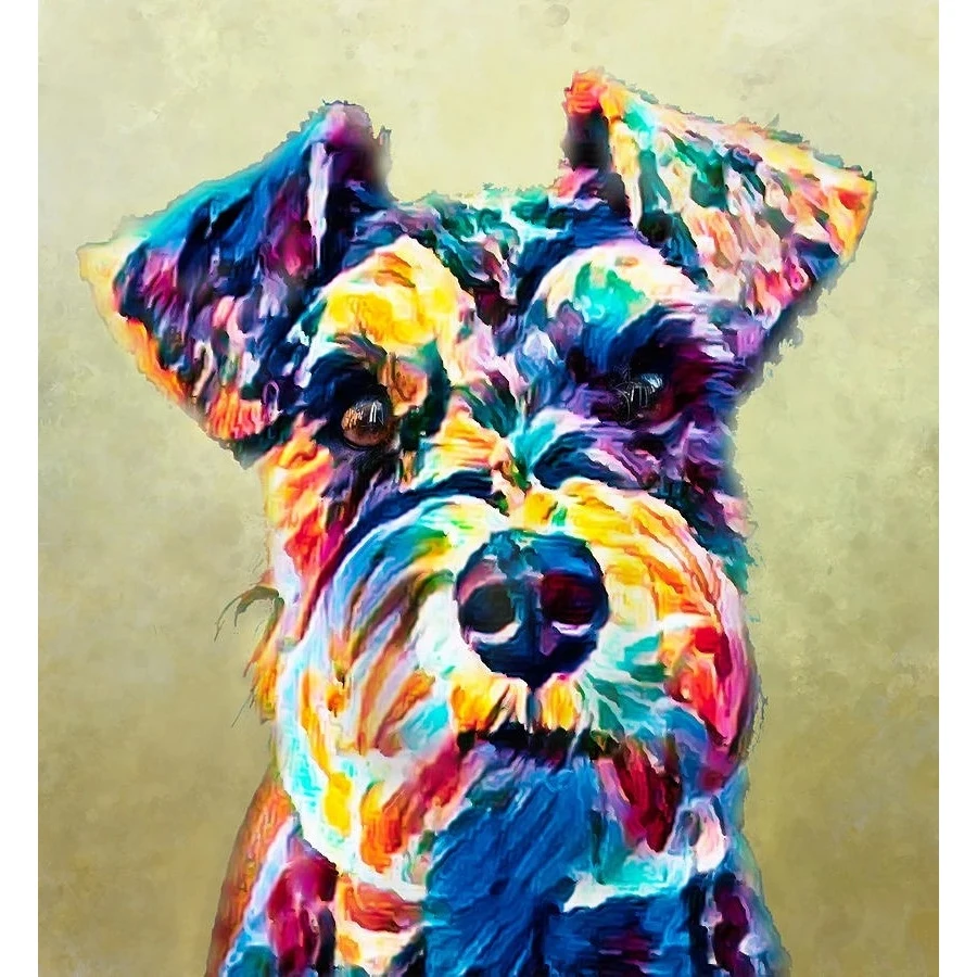 

Diy 5D colorful schnauzer dog Full Diamond Painting cross stitch kits art High Quality Animal 3D paint by diamonds