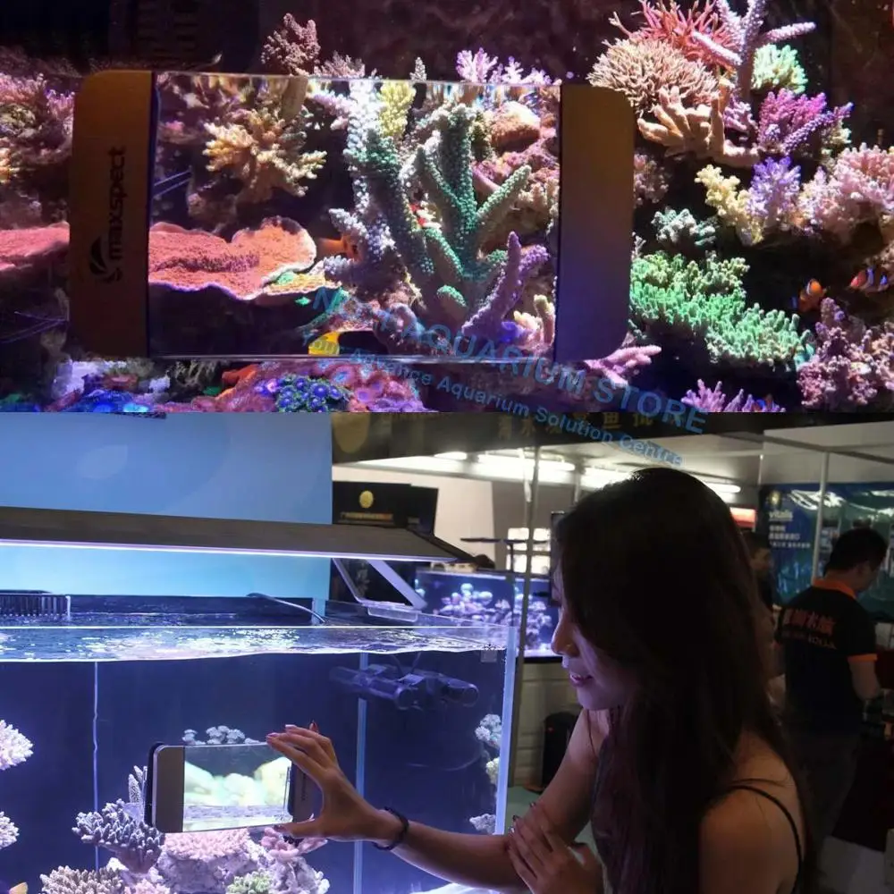 Maxspect ароматизатор аквариум увеличение зритель водорослей магнитный очиститель