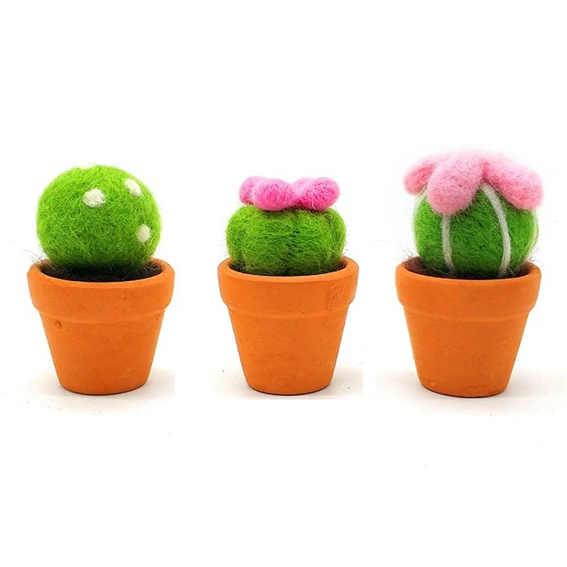 

Succulent Plants Needle Felting Kit for Beginner Handmade Wool for Felting Needlework Felt Creativity Kit English Manual