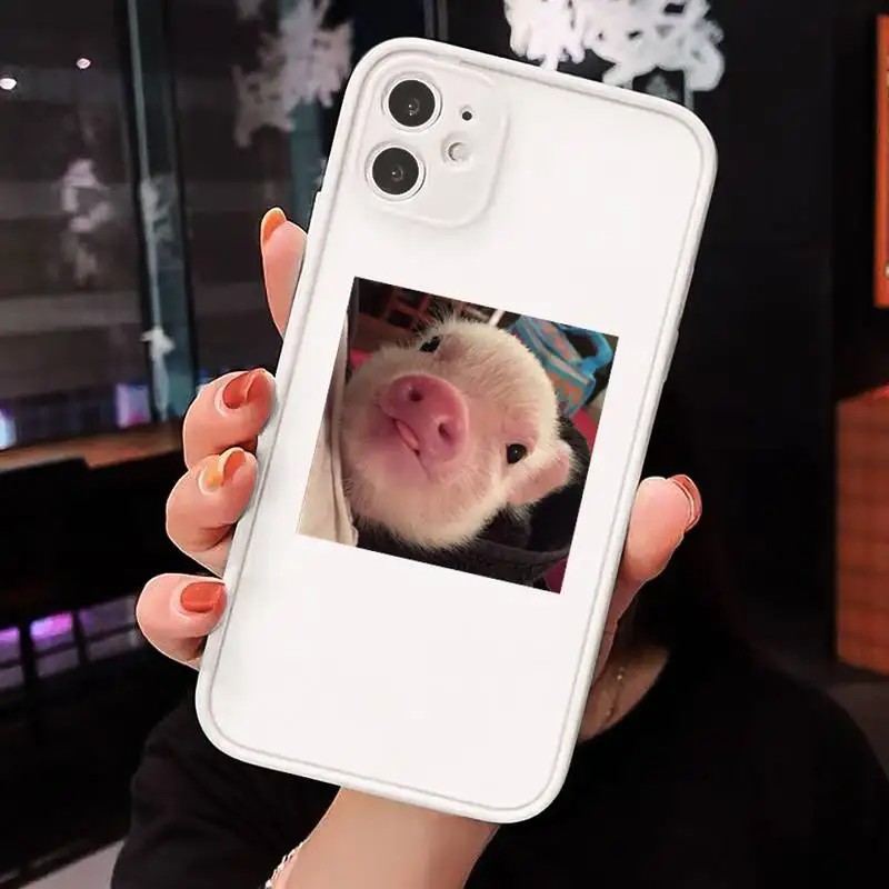 

Cute Little Pink Pet Pig Phone Case matte transparent For white iPhone 7 8 x xs xr 11 12 pro plus max mini Clear Funda