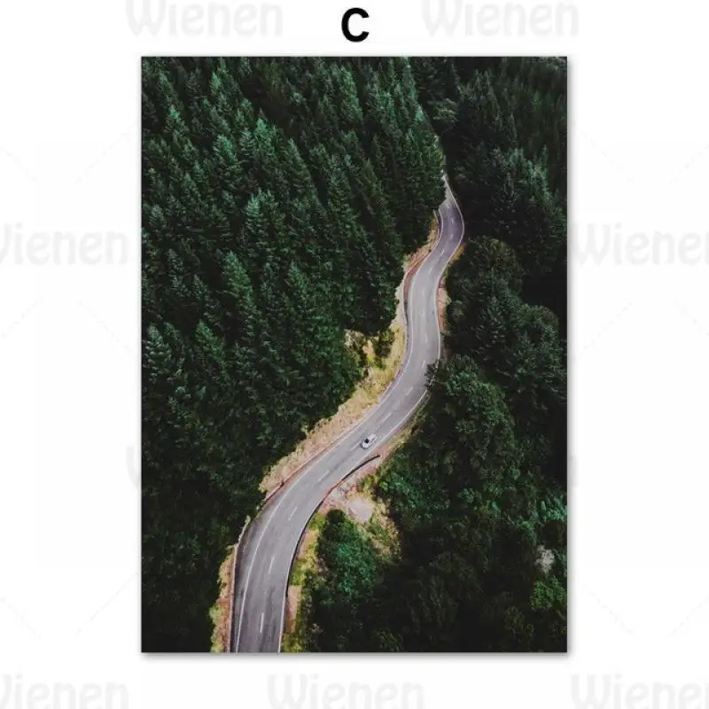 

Nordic Landscape Posters and Prints Forest Road Bays Mountain Top Painting Home Decoration Canvas Paintings for Living Room Wall