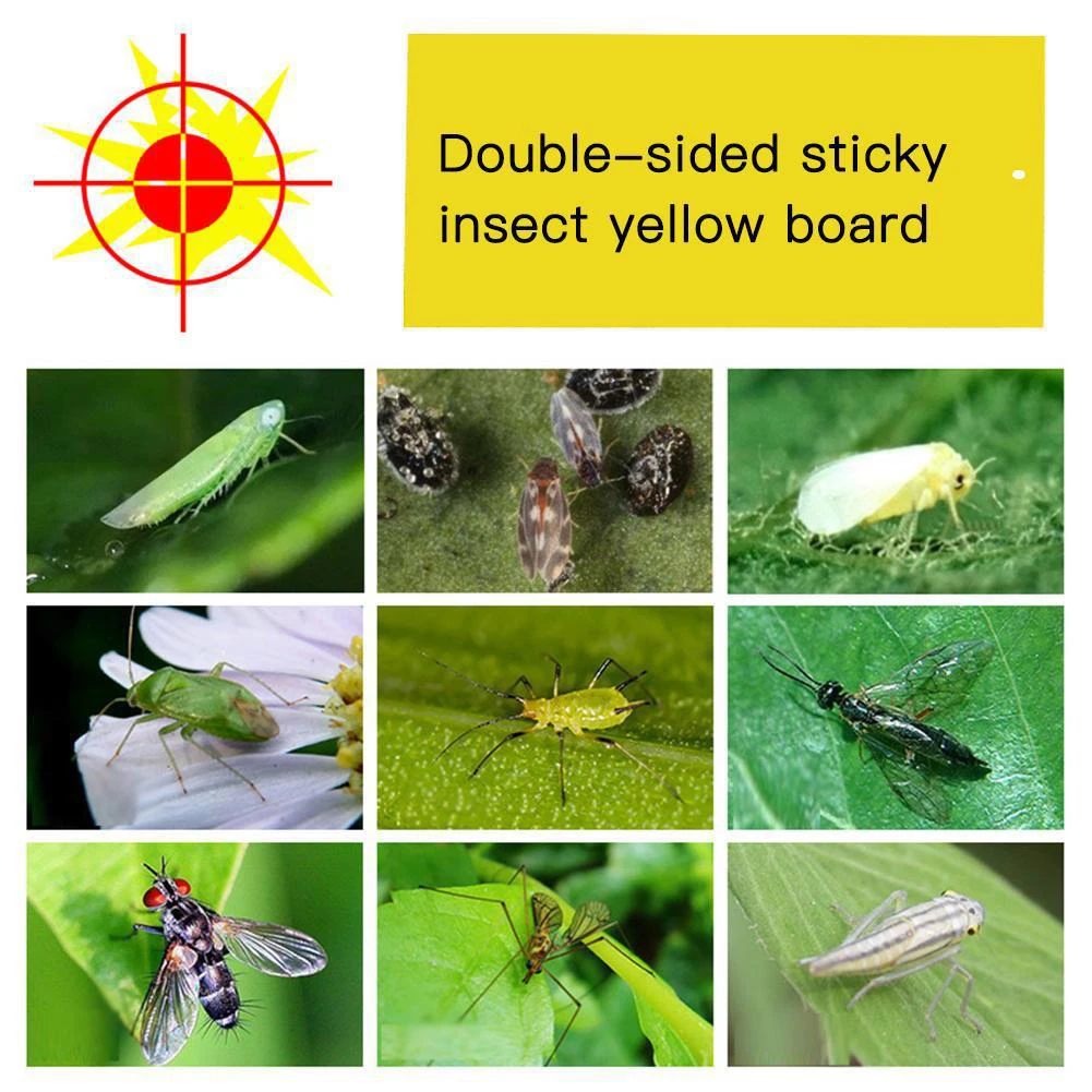 5 шт. двухсторонний клей для наклеек клейкие ловушки желтая клейкая ловушка