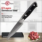 Grandsharp 3,5 дюймов дамасский нож для чистки овощей японский дамасский стальной нож VG10 мозаичная заклепка G10 Ручка пилинг фрукты кухонный нож