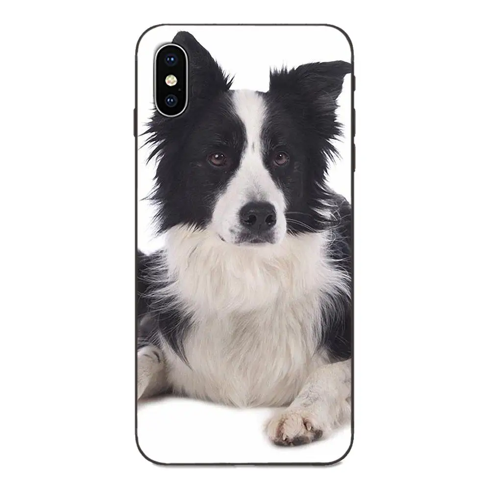 TPU Screen Protector For Galaxy A10S A20S A2 Core A30S A40S A50S A70S A90 5G M10 M30S M40 Note 10 Plus Border Collie Dog | Мобильные
