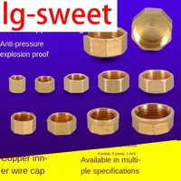 copper inner wire plug 12in outer wire water pipe plug cap pipe plug 38in bulky wire plug 1 inch copper plug quad pipe