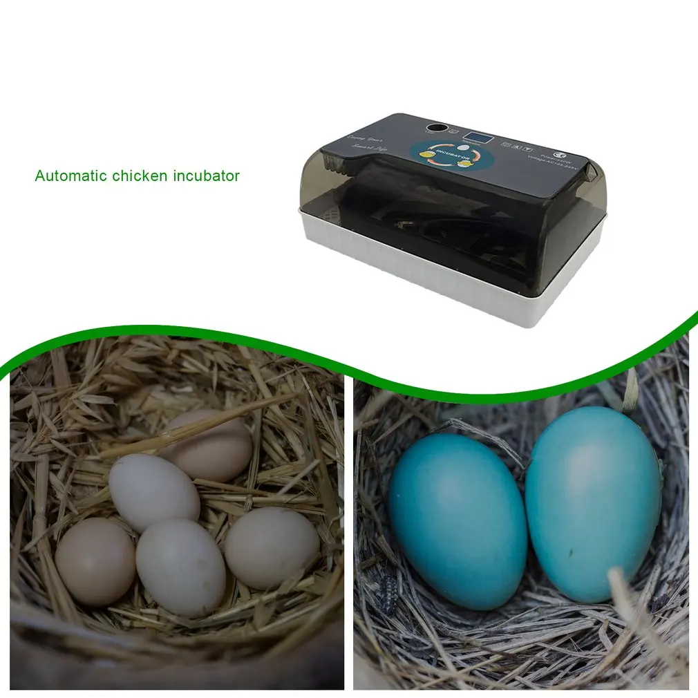 

Automatic Digital 12 Eggs Incubator Hatcher Large Capacity Practical Incubators For Chicken Poultry Quail Eggs Home Use