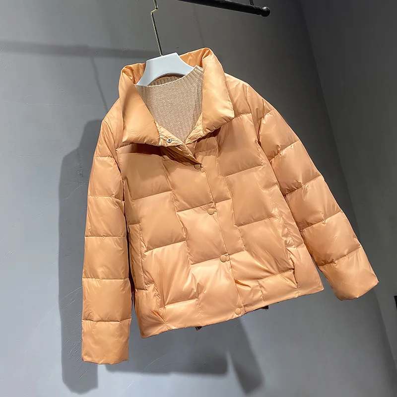 

2021 Autumn and Winter New White Duck Down Stand-up Collar Loose and Thin Korean Style Light and Warm Short Ladies Down Jacket