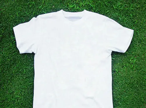 

For Ddp Test, Don't Delete 3