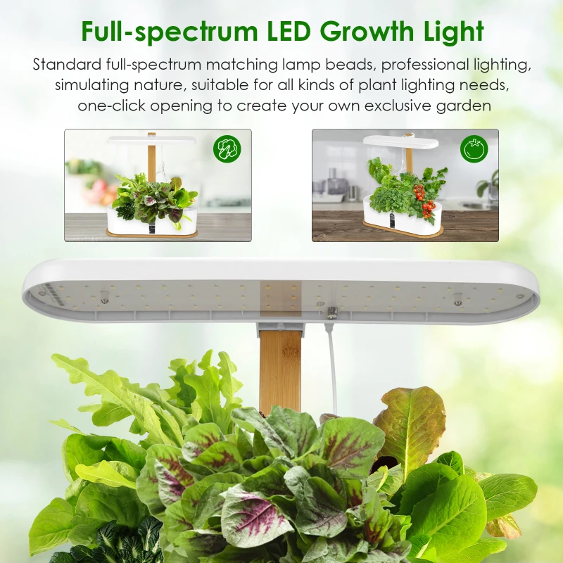 

Hydroponic Germination System with Adjustable LED Lights Circulation Pump and Nutrient Powder Plant Vegetable and Fruit Starter