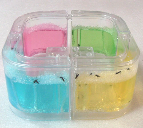 

Authentic Ant farm Birthday present pet villa Home queen ants workshop from mail