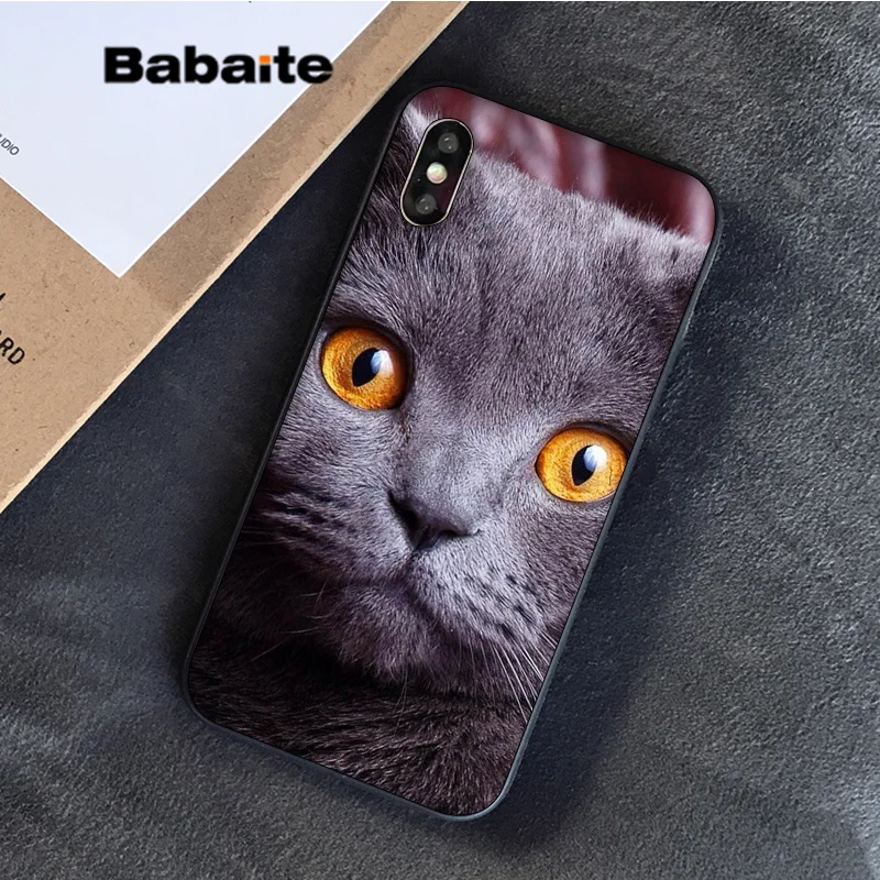 Babaite Британский короткошерстный Кот в продаже окрашенный мягкий чехол для телефона Apple iPhone 8 7 6S Plus X XS MAX 5 5S SE XR